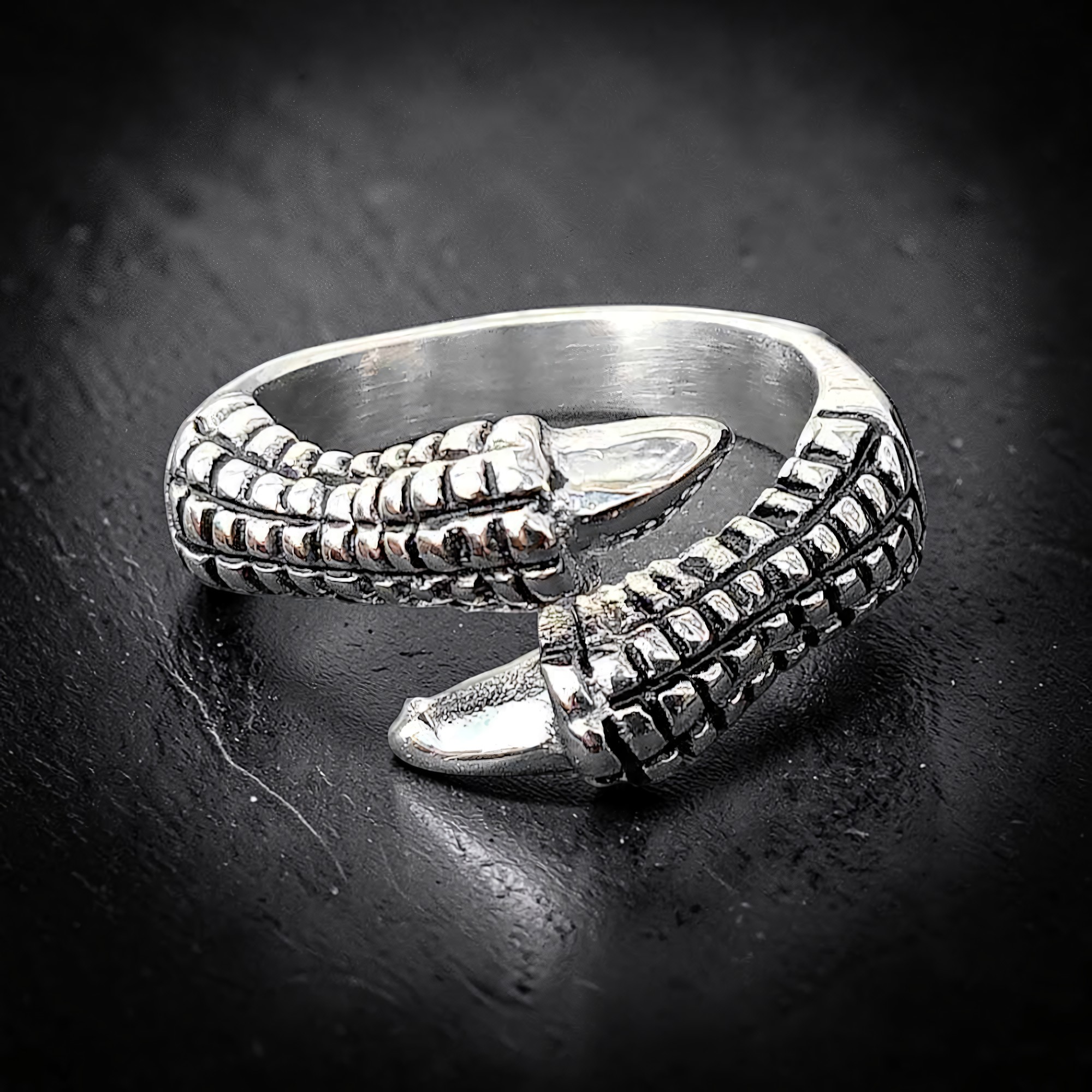 Kralle Ring Edelstahl Klaue Claw