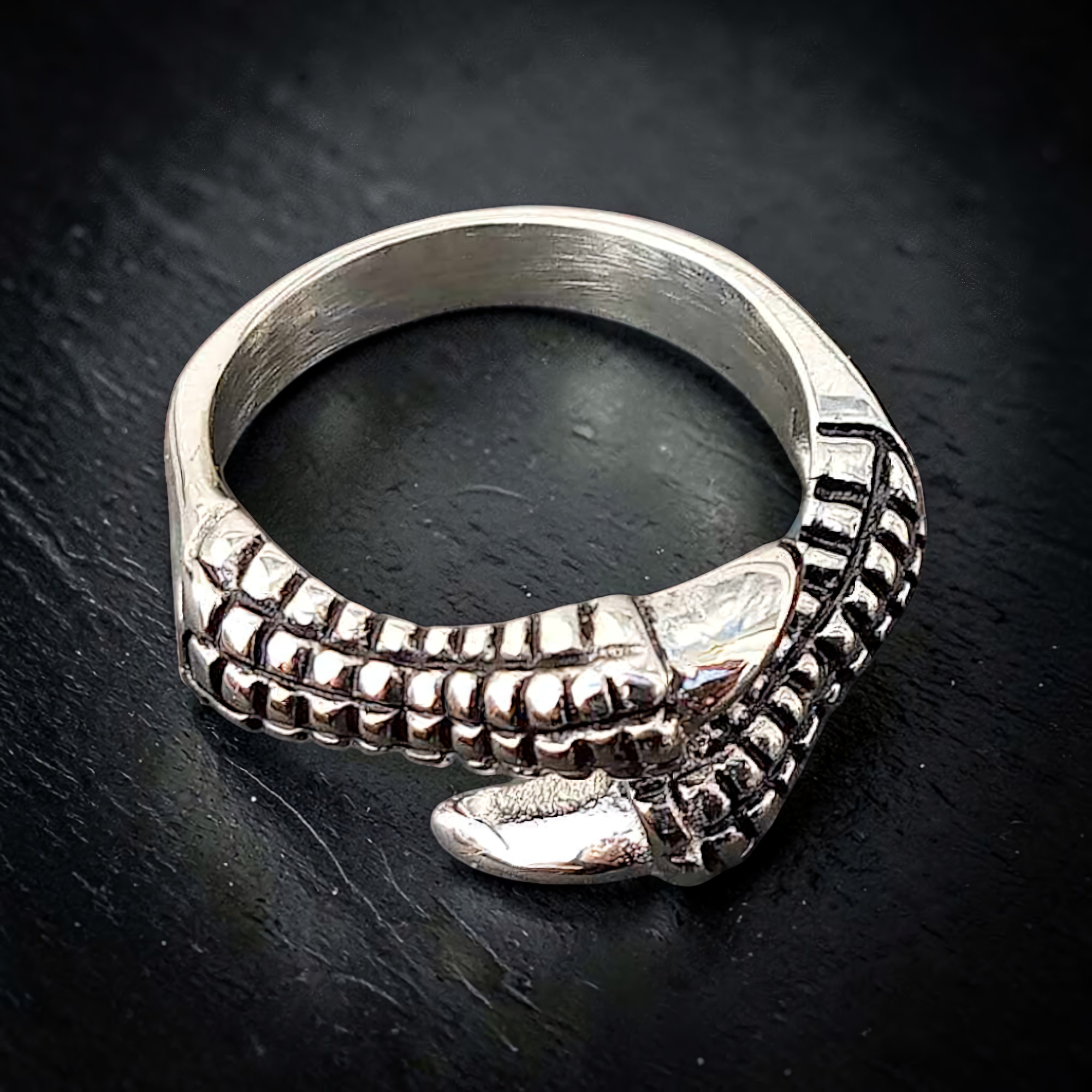 Kralle Ring Edelstahl Klaue Claw