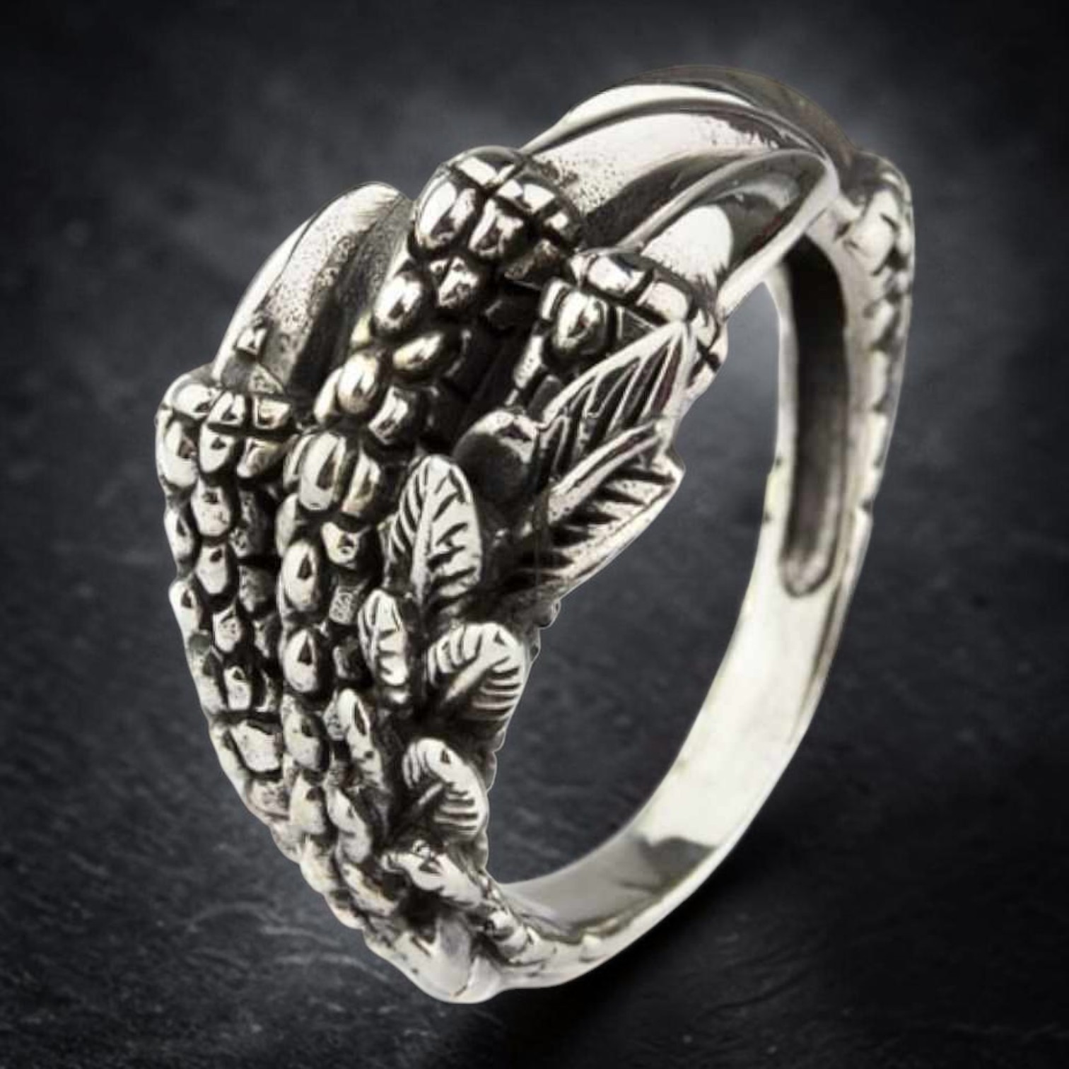Ring Adlerkralle mit gefiederter Kralle silbern aus Edelstahl.